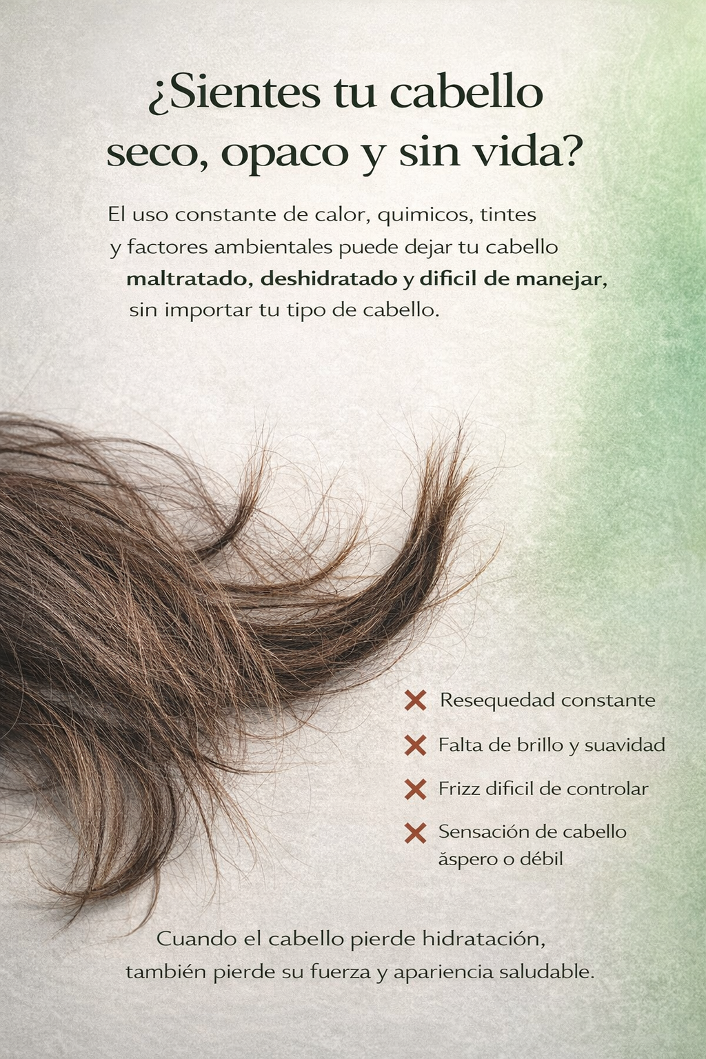 Dile adiós al cabello maltratado gracias a nuestro shampoo profesional MALUA
